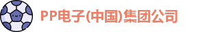 PP电子